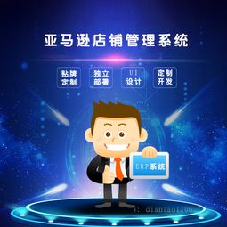 河南亚马逊erp系统贴牌代理定制开发哪家便宜