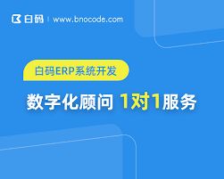 装一个erp系统多少钱