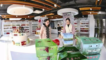 创业 店小二 丨靖江推出网上办公系统,小老板可像选汽车牌号一样定制企业名称